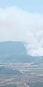 İzmir Menderes'te kontrol altına alınamayan orman yangını büyük tehlike oluşturuyor