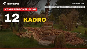 OGM 12 müfettiş yardımcısı alıyor