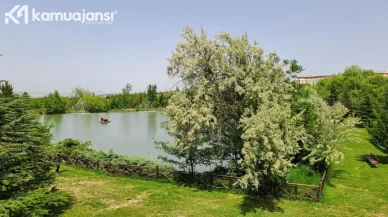 Türkiye'nin Milli Botanik Bahçesi'nde Binlerce Endemik Bitki Türü Bulunuyor