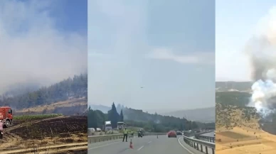 Batı Türkiye'de Manisa, İzmir ve Çanakkale illerinde art arda çıkan orman yangınları korku ve endişe yarattı!