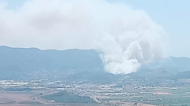 İzmir Menderes'te kontrol altına alınamayan orman yangını büyük tehlike oluşturuyor