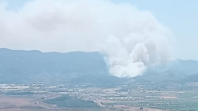 İzmir Menderes'te kontrol altına alınamayan orman yangını büyük tehlike oluşturuyor