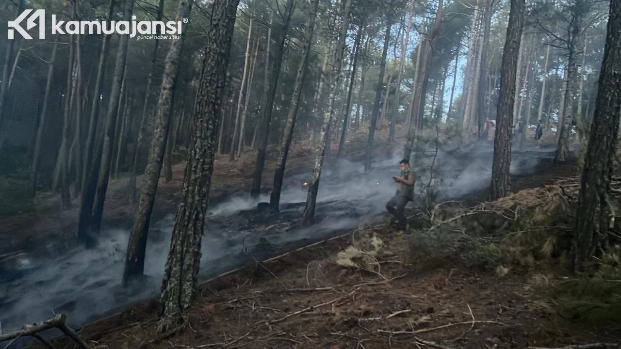 Muğla Menteşe'de çıkan orman yangını söndürüldü