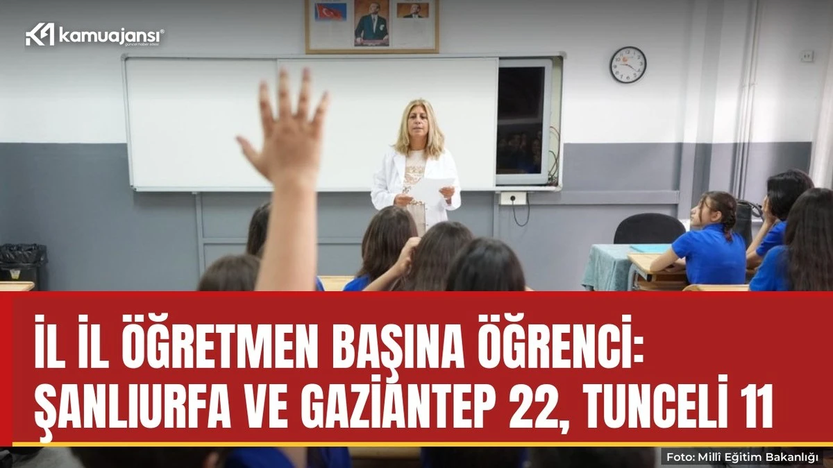 İl il öğretmen başına öğrenci